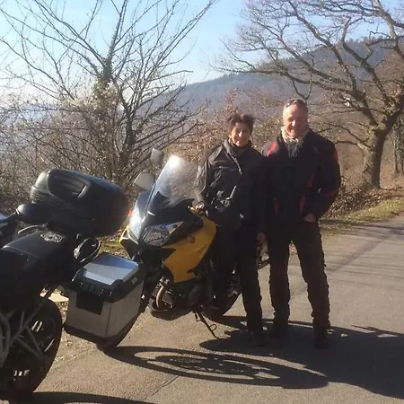 Hotel Moselblick Aroma 3*