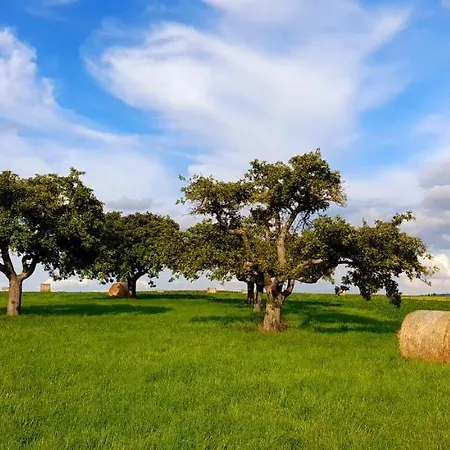 Moselblick Aroma 酒店 布尔根