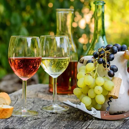 Moselblick Aroma 3* Burgen (Mayen-Koblenz)