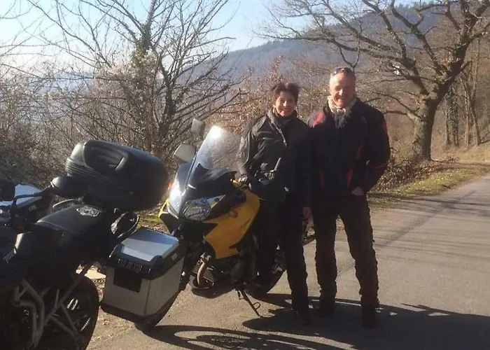 Hotel Moselblick Aroma 3*