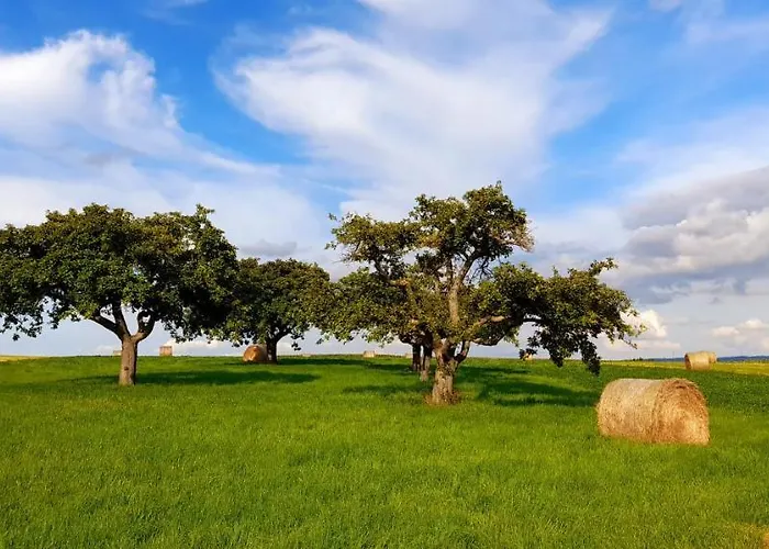 Moselblick Aroma Szálloda Burgen